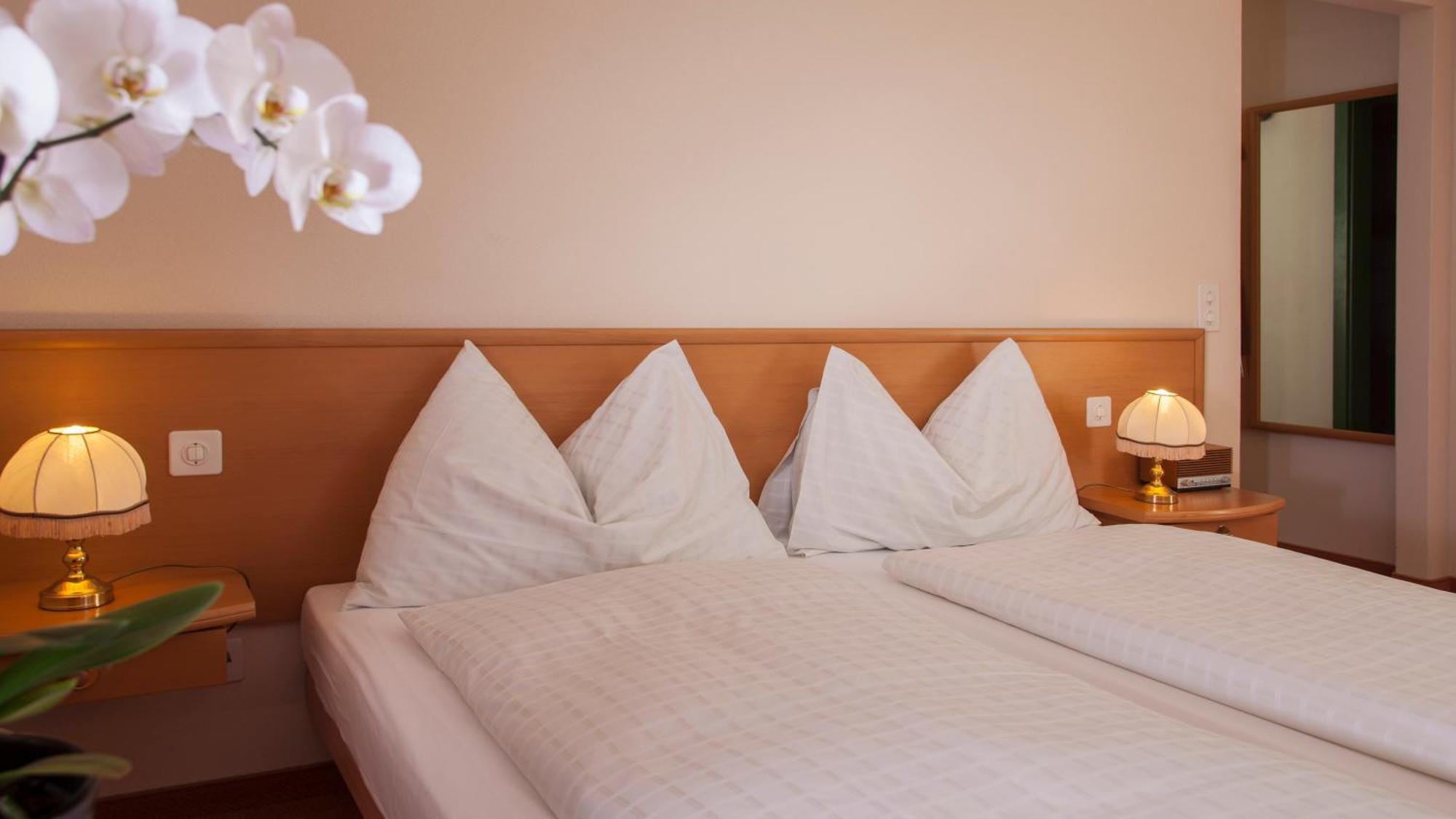 Hotel & Spa Cacciatori Cademario Oda fotoğraf