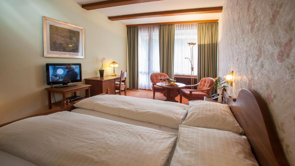 Hotel & Spa Cacciatori Cademario Oda fotoğraf